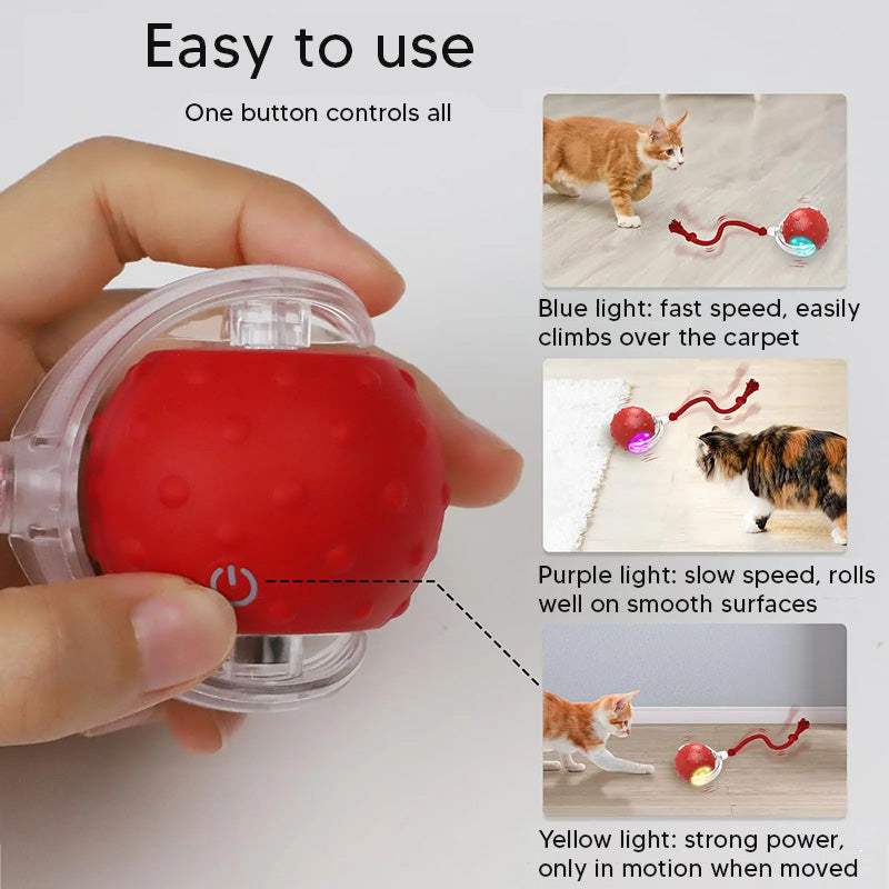 BUYLO™ – The Ultimate Self-Moving Pet Ball