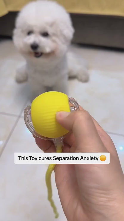 BUYLO™ – The Ultimate Self-Moving Pet Ball